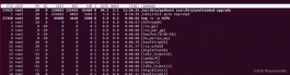 linux应急响应基础命令